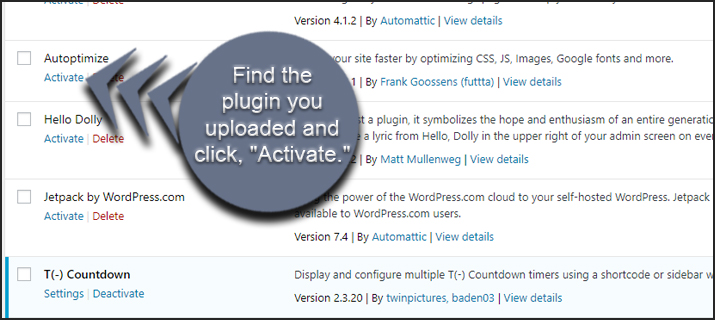 Activate Plugin Link