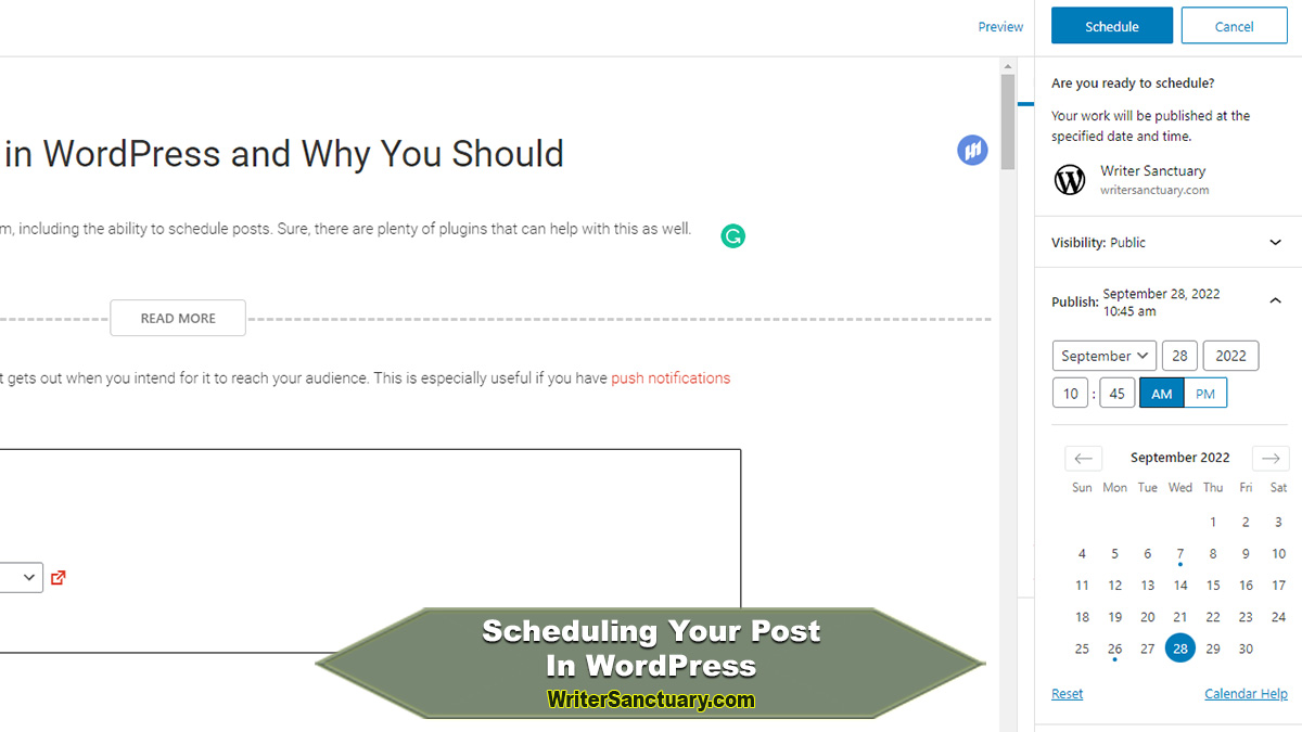 Schedule Your Posts in WordPress