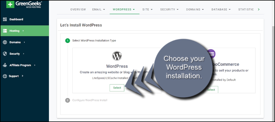Choose WordPress Type