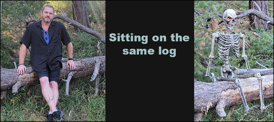 Same Log